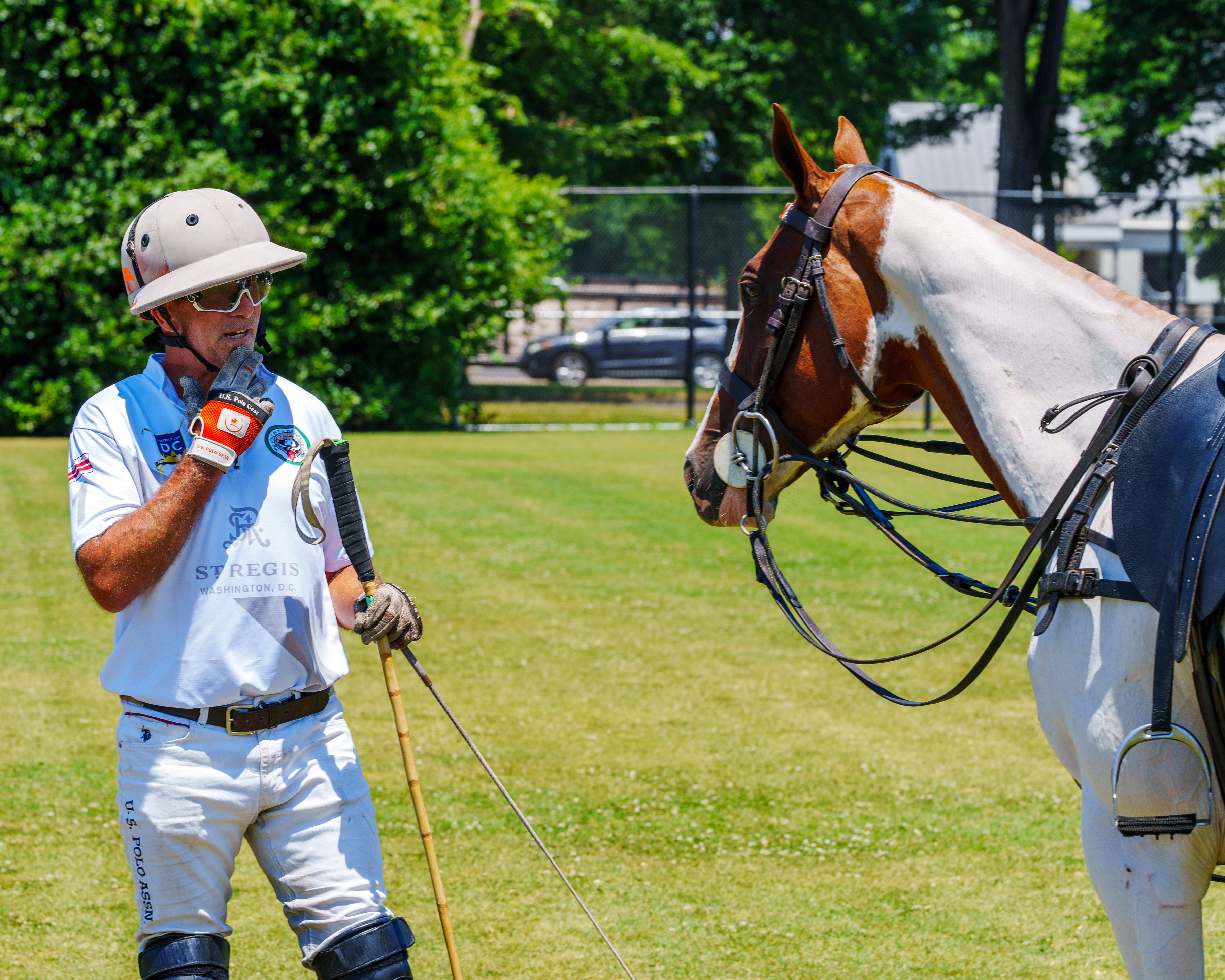 Rider and Horse